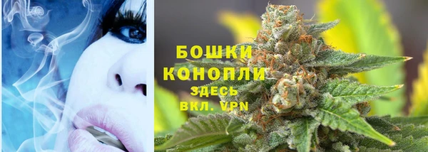 тгк Пролетарск