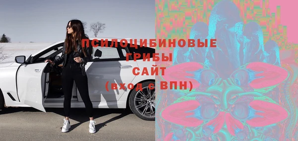 МДПВ Алексеевка