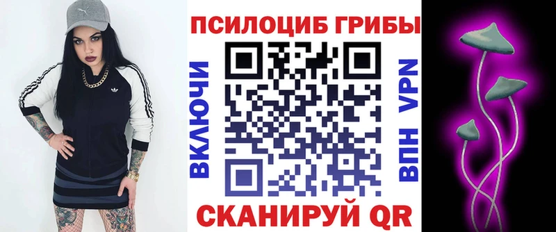 OMG сайт  наркотики  Баймак  Галлюциногенные грибы мухоморы 